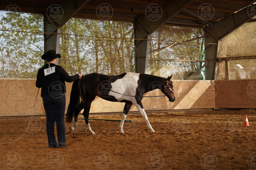 s_A9_09817.jpg